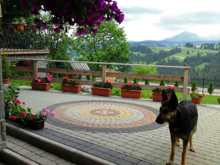 Goralska Chata Bustryk Εξωτερικό φωτογραφία